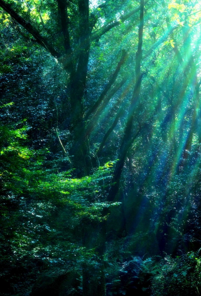 ～Deep　green～